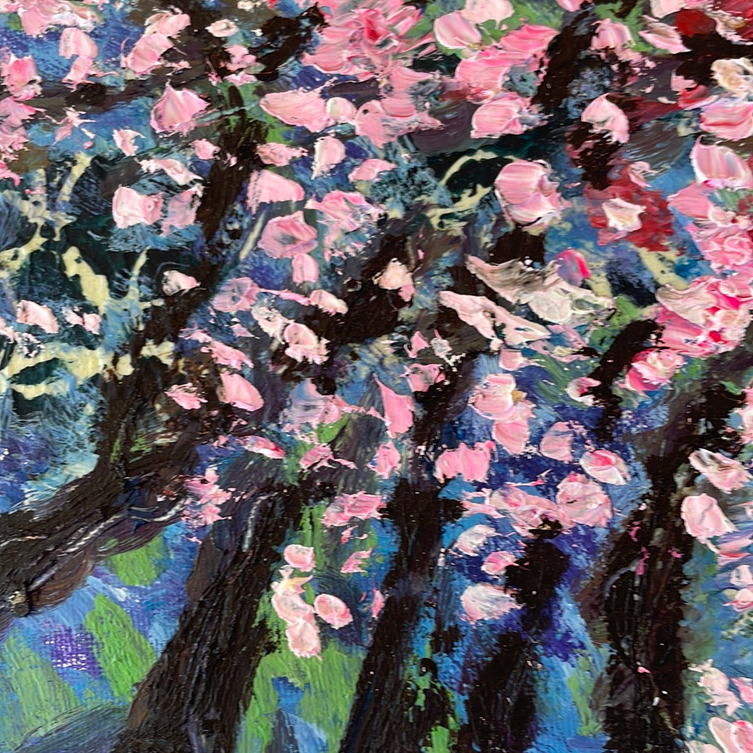 Original painting - Cherry trees blossoms -8 x 10 on canvas panel